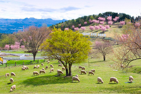 伊香保グリーン牧場