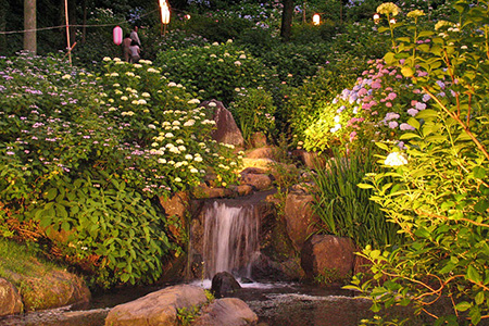 小野池あじさい公園