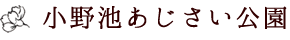 小野池あじさい公園